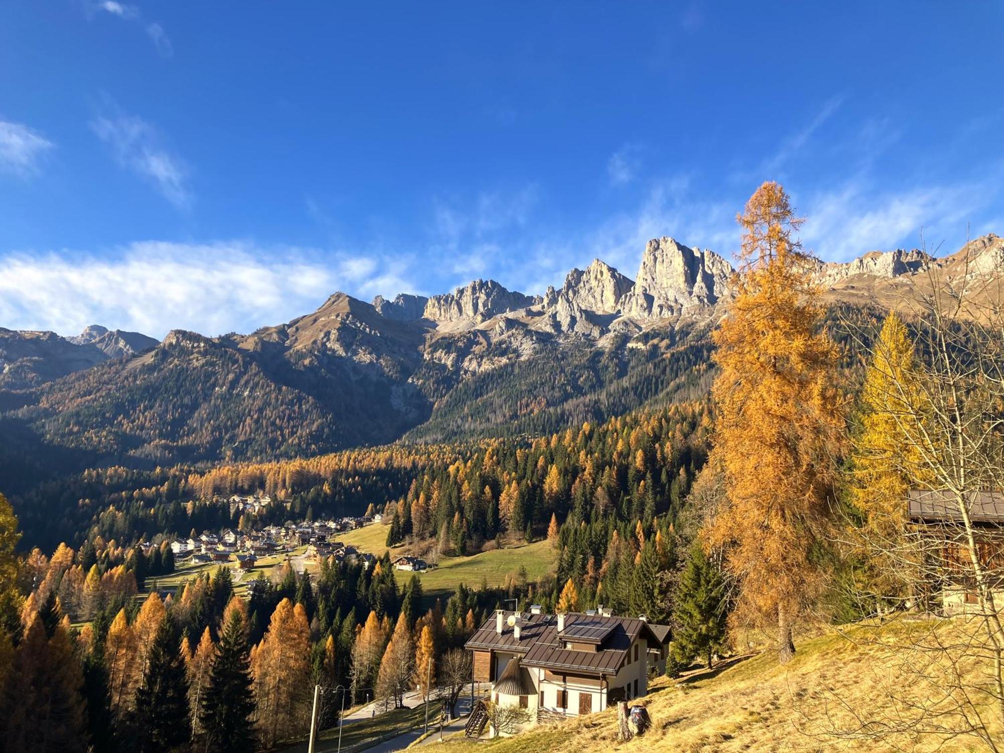 Appartamento Dolomiti Dream 1 Falcade Buitenkant foto